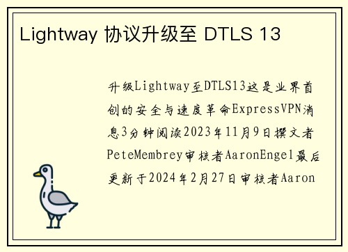 Lightway 协议升级至 DTLS 13 